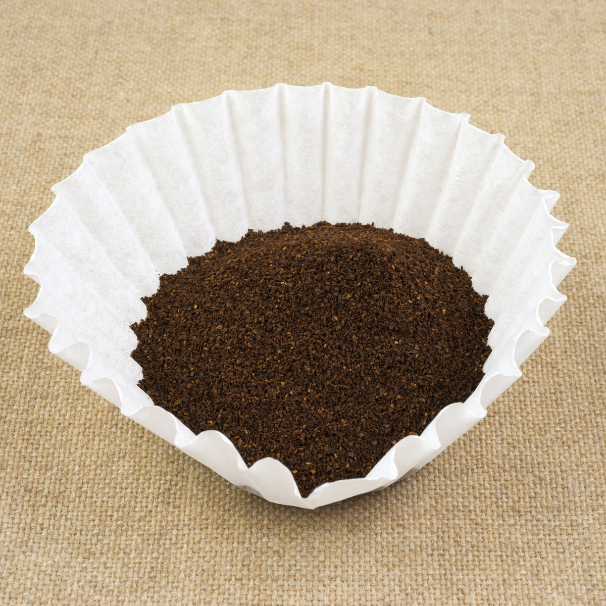 Coffee Filter with Ground Coffee